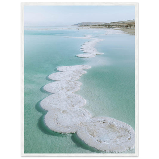 5726d010-2c06-484e-a3d1-25ef65323f59