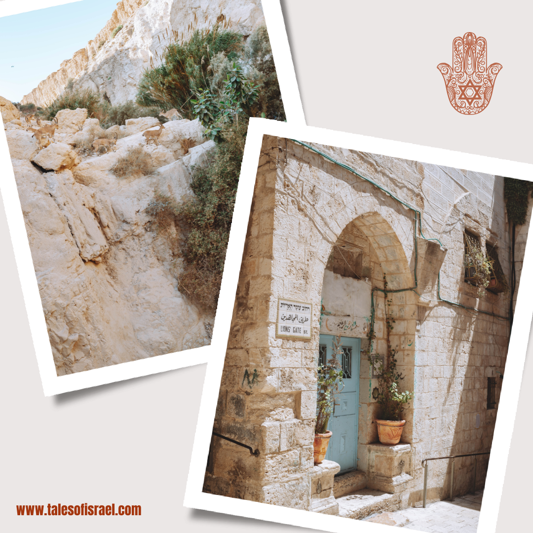 Tales of Israel Gift Card